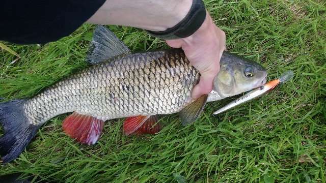 DSC_0044-640x360.JPG