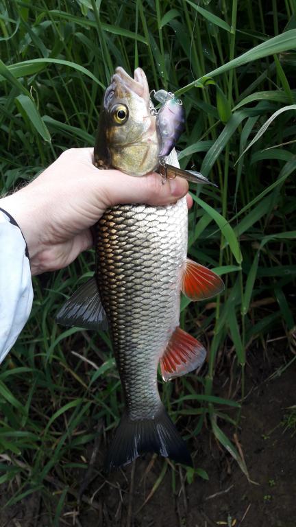20170613_093256.jpg