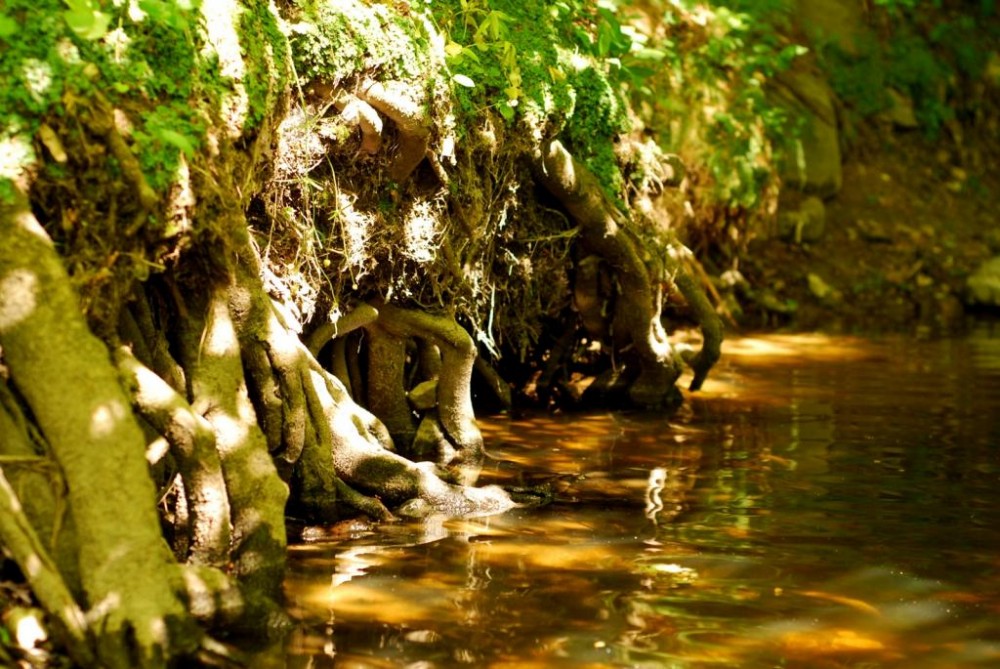DSC_0326.JPG