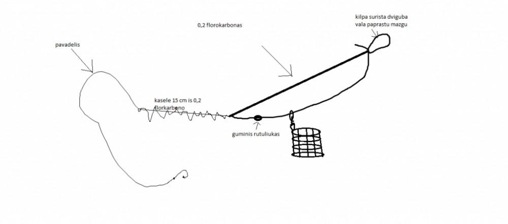 asimetrine kilpa.png