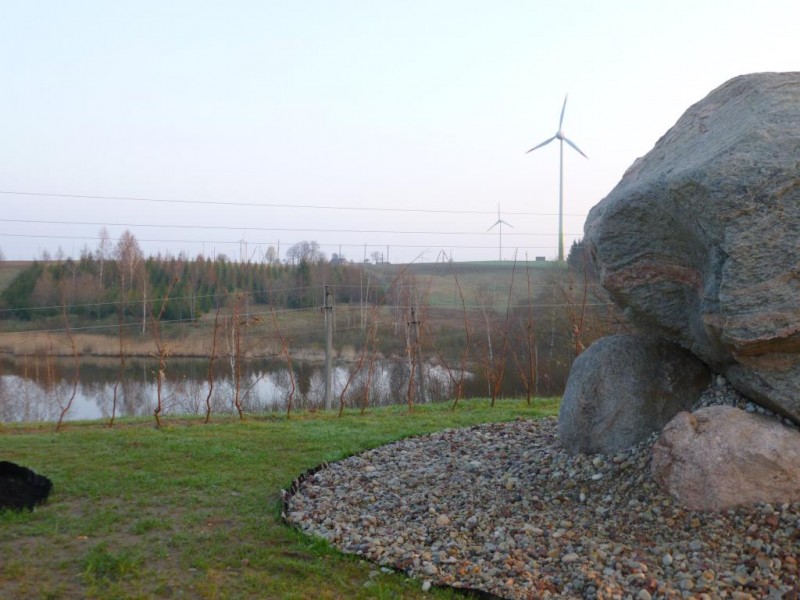 P1010292.JPG