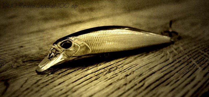 REALIS 100.jpg