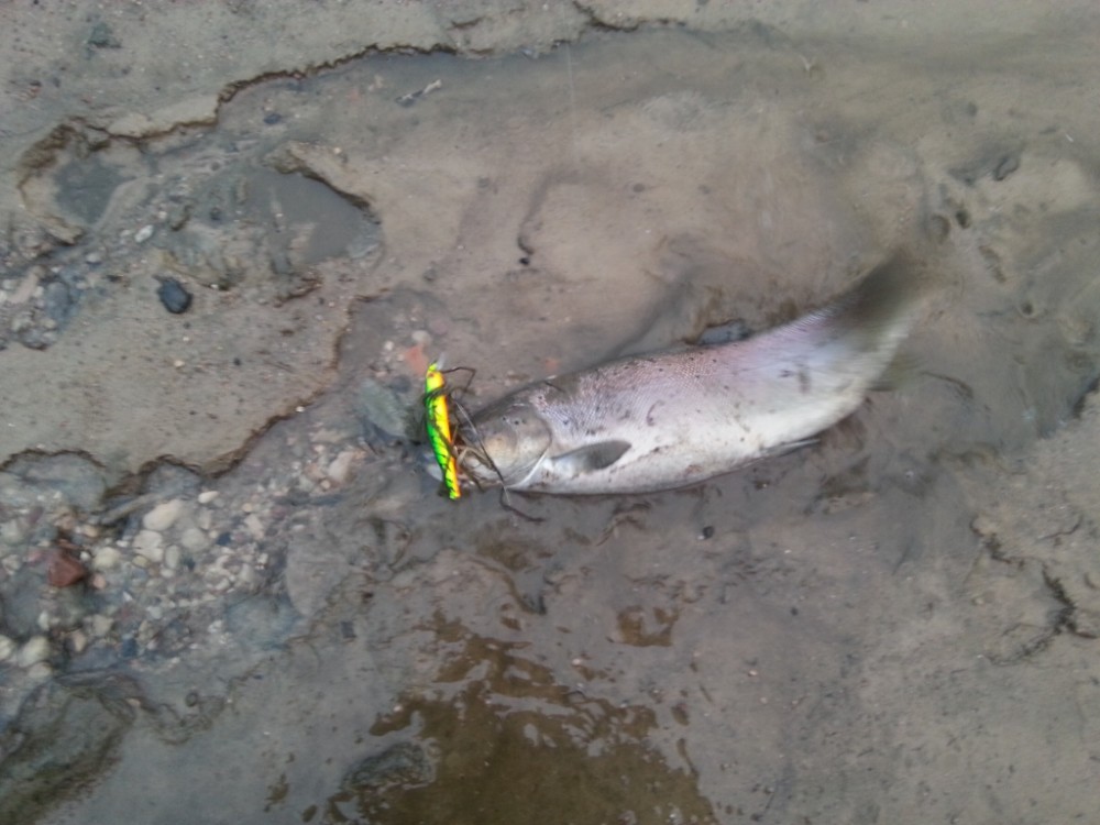 20141109_160523.jpg
