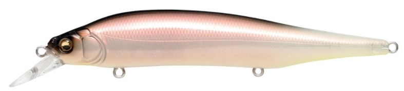 Megabass ITO Shiner Kohoku Reaction.JPG