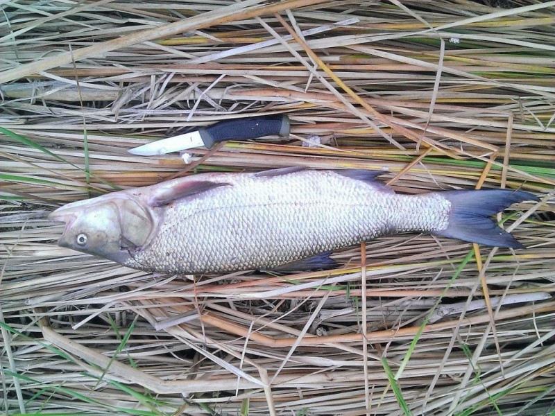 WP_20130915_003.jpg