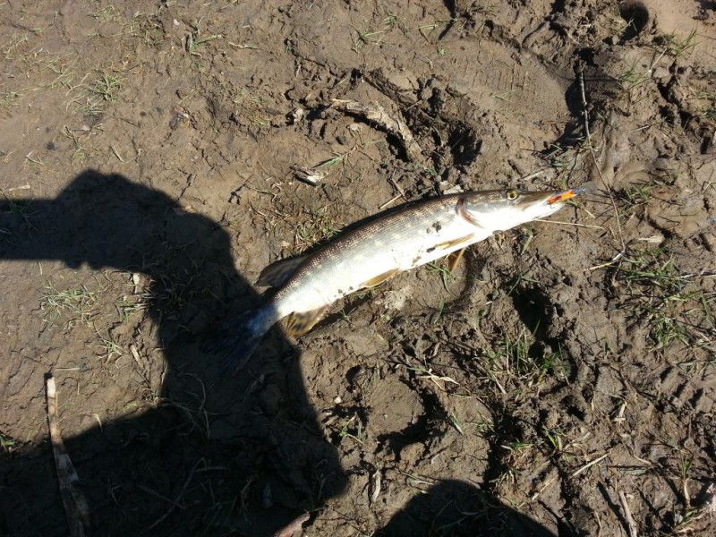 20130505_144614.jpg