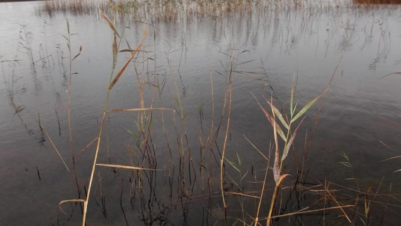 DSCF1816.jpg