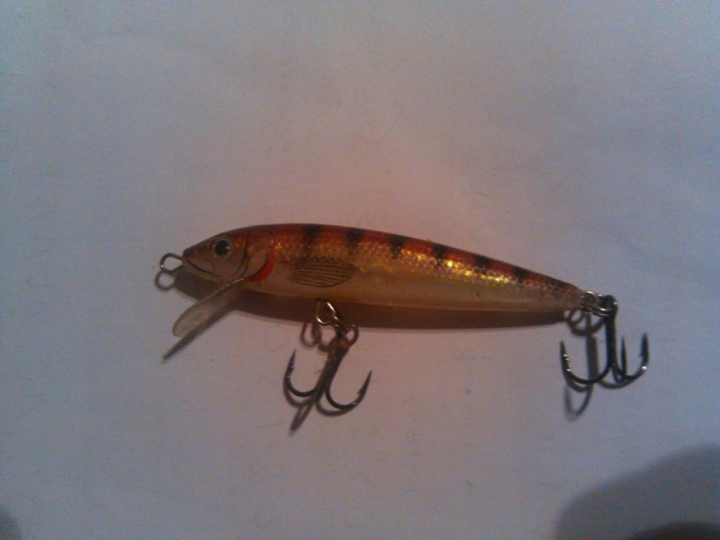 IMG_20130922_202044.jpg