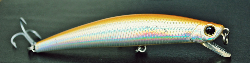 DUO Tide Minnow 120LD.JPG