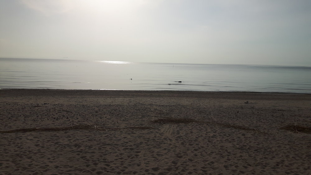 20180415_180958.jpg
