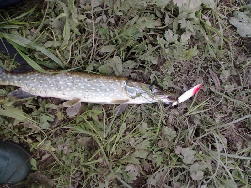 20131006130.jpg