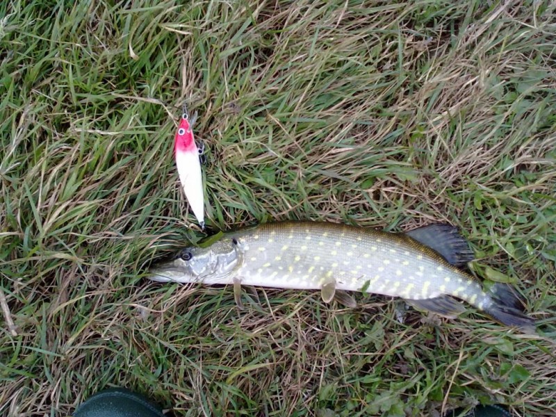 20131006131.jpg