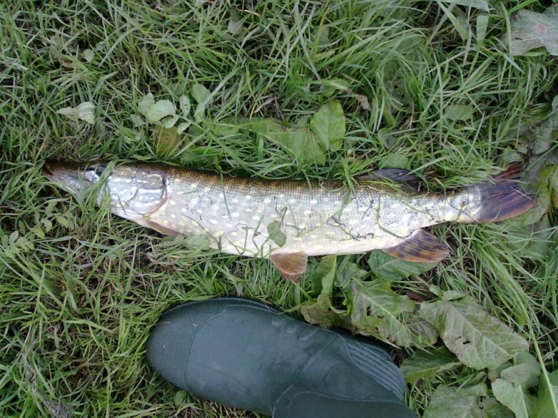 20131006132.jpg