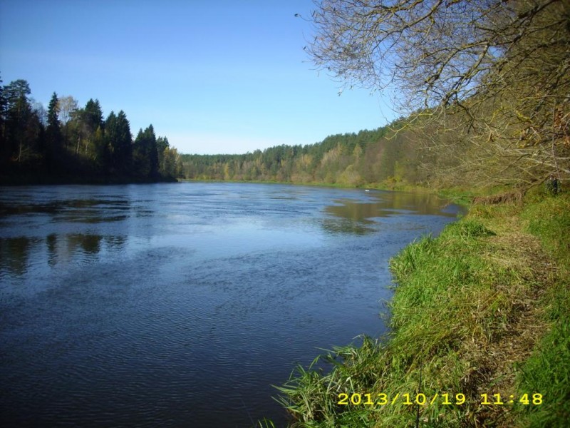 DSCI0001.JPG
