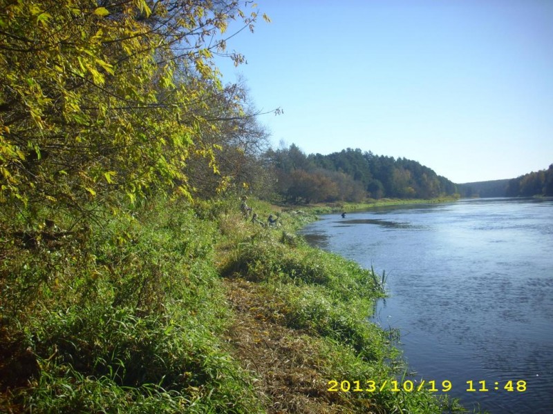 DSCI0004.JPG