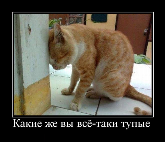 tudurnas.jpg