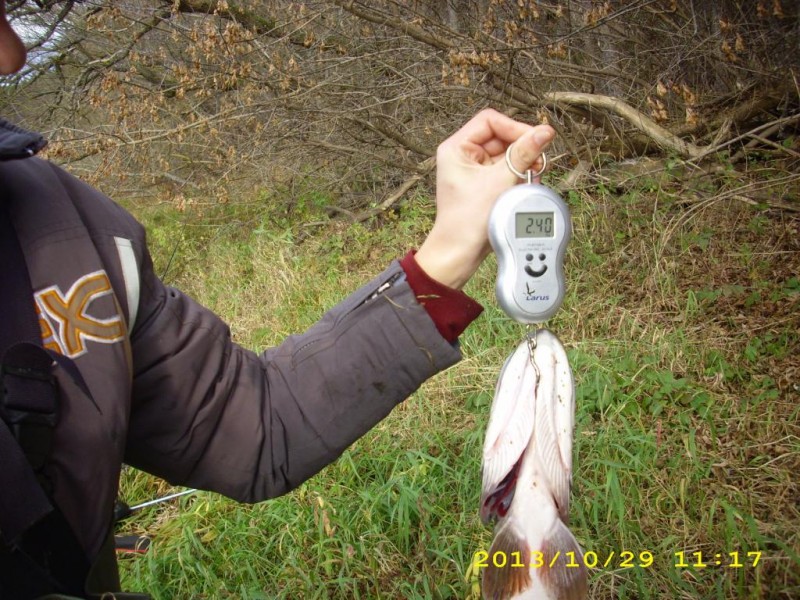 DSCI0013.JPG
