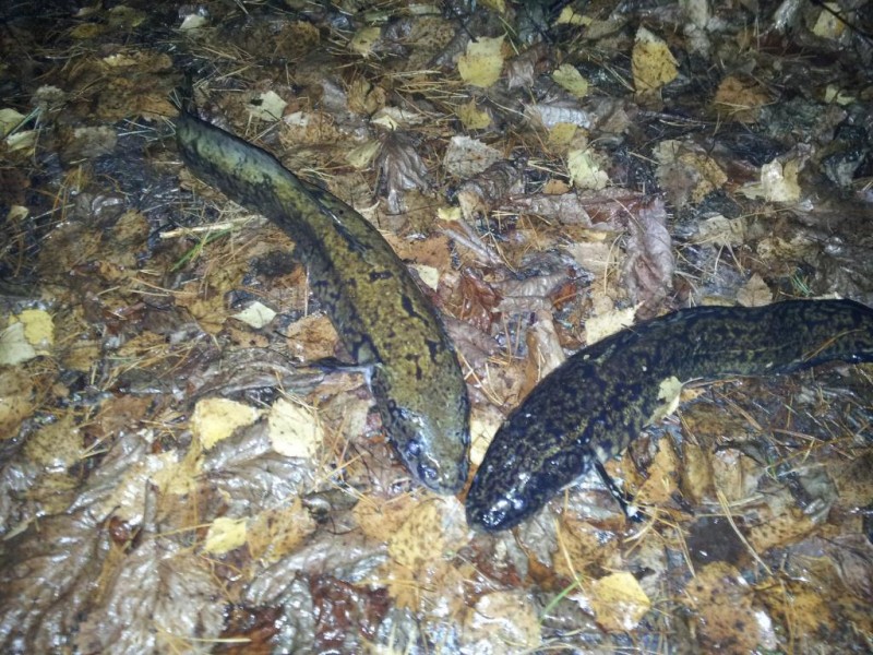 20131103_005657.jpg