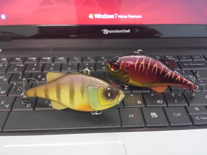 20131106_074310.jpg