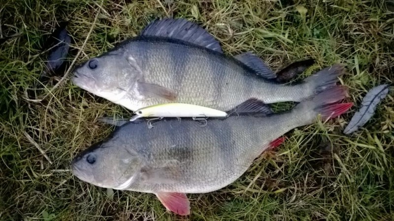 WP_20131116_007.jpg