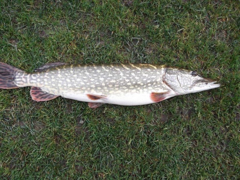 DSCF5141.JPG