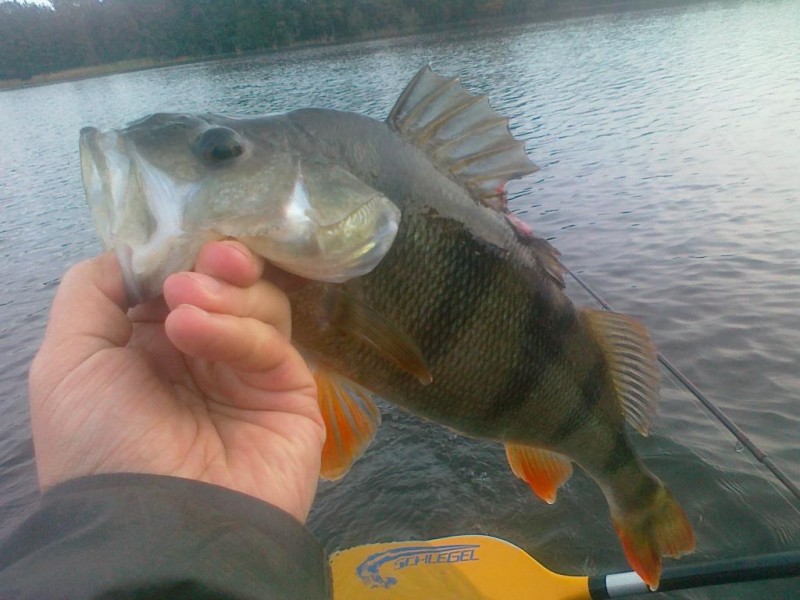 20131005097.jpg