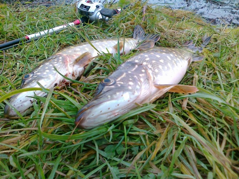 20131130116.jpg
