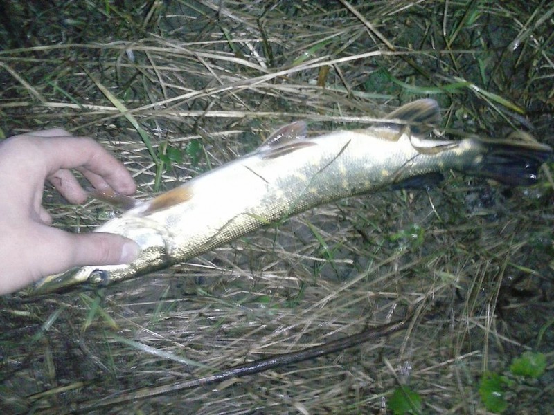 CAM00036.jpg