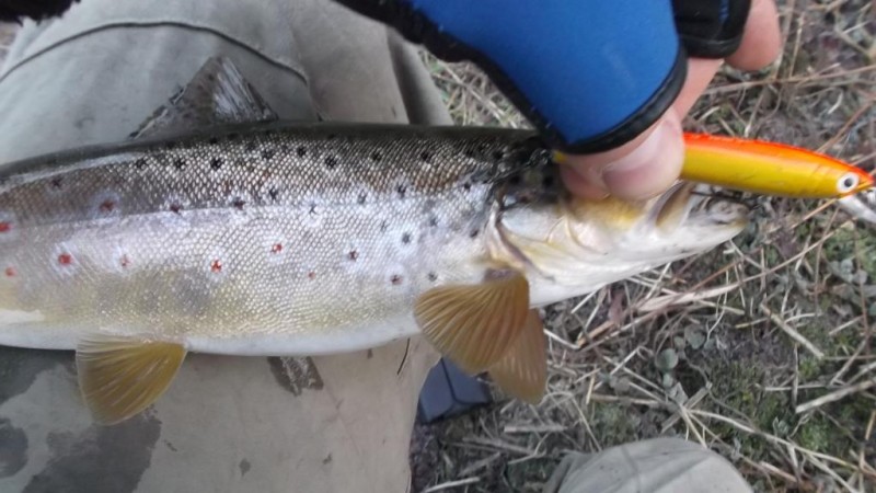 DSCF2118.JPG