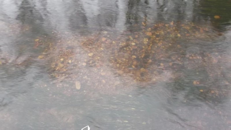 DSCF2156.JPG