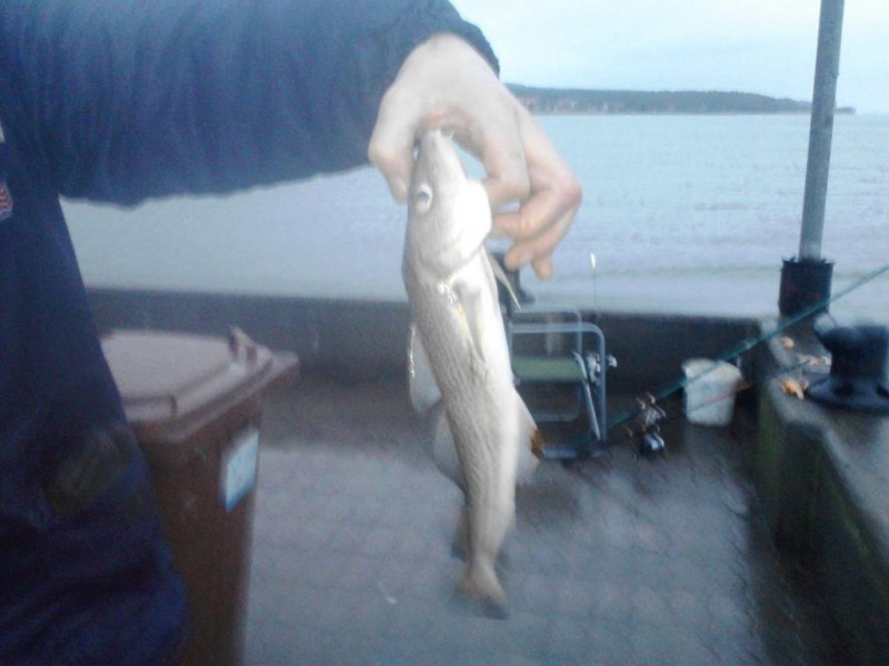 P110114_16.19.jpg