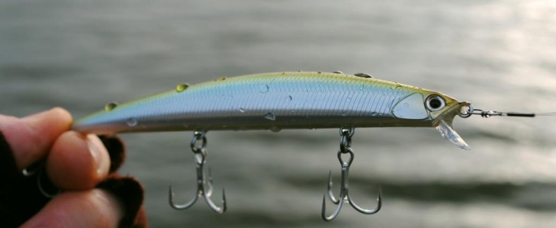 Tide Minnow 125 SLD-F.JPG