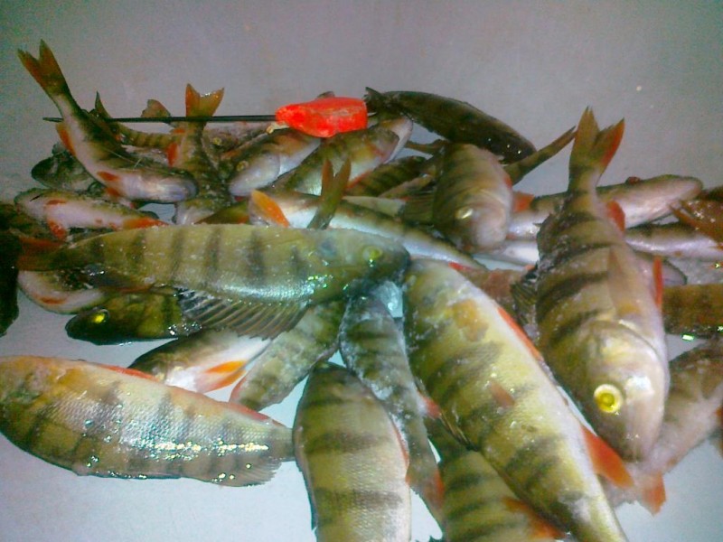 20140125123.jpg