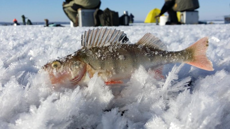 20140125_124854.jpg