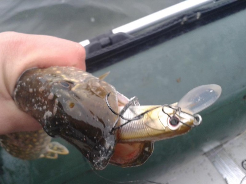 20131020_141752.jpg