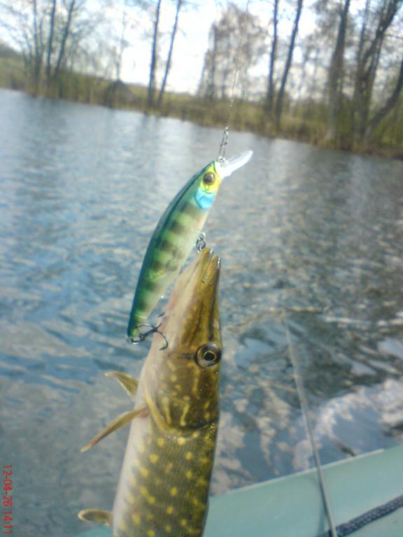 DSC00699.JPG