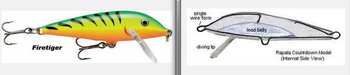 robertukui_pvz.jpg