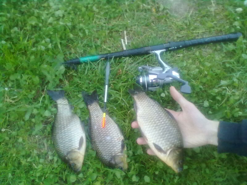 20120526025_Q1.jpg