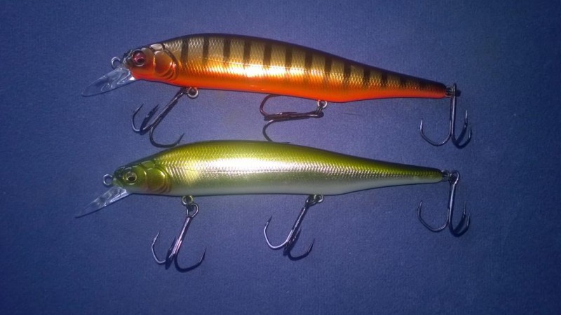WP_20140301_008.jpg