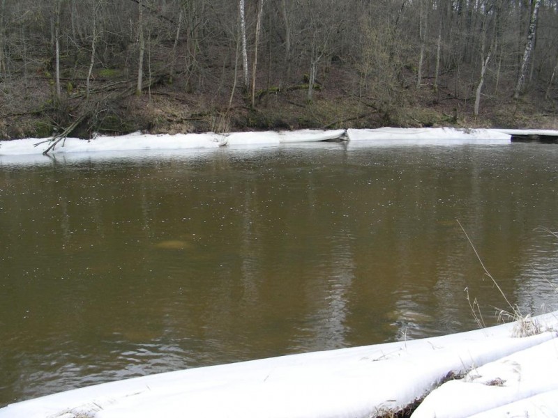 DSCN4435.JPG