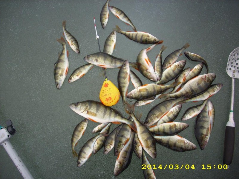 DSCI0081.JPG