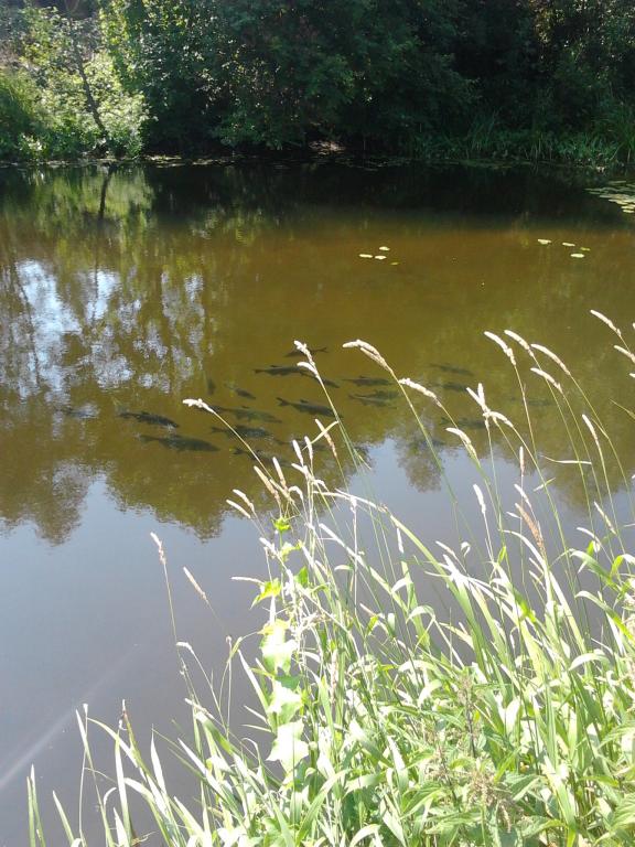 2013-07-08 15.27.54.jpg