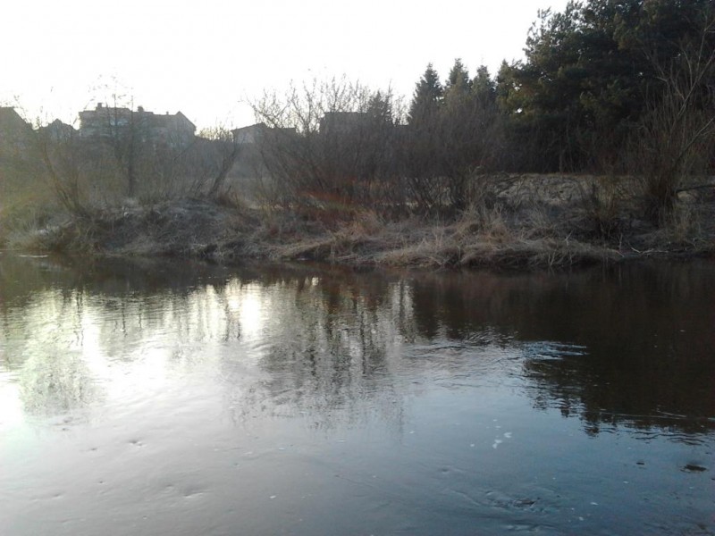 2014-03-04 17.21.24.jpg