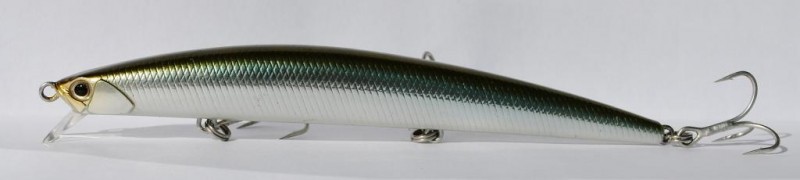 Duo tide minnow sld-f 125.JPG