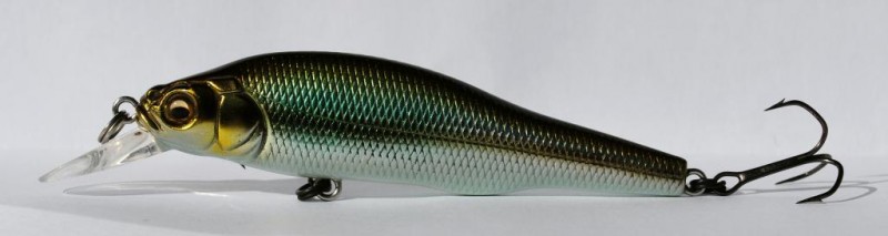 Megabass x-80 trick darter.JPG