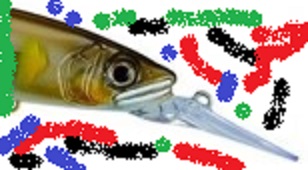 kasgicia.jpg