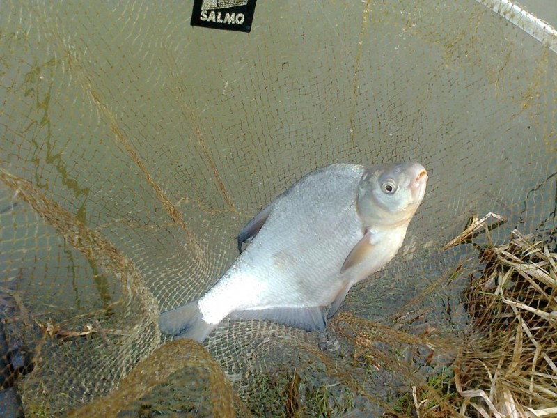 Nuotrauka0481.jpg