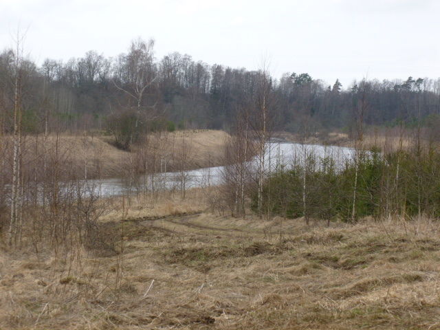 P1060727.JPG