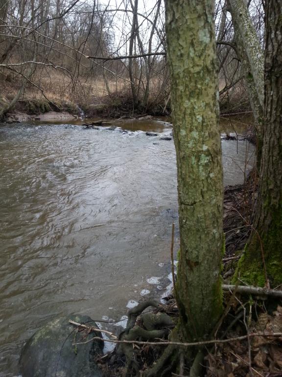 20140318_153744.jpg
