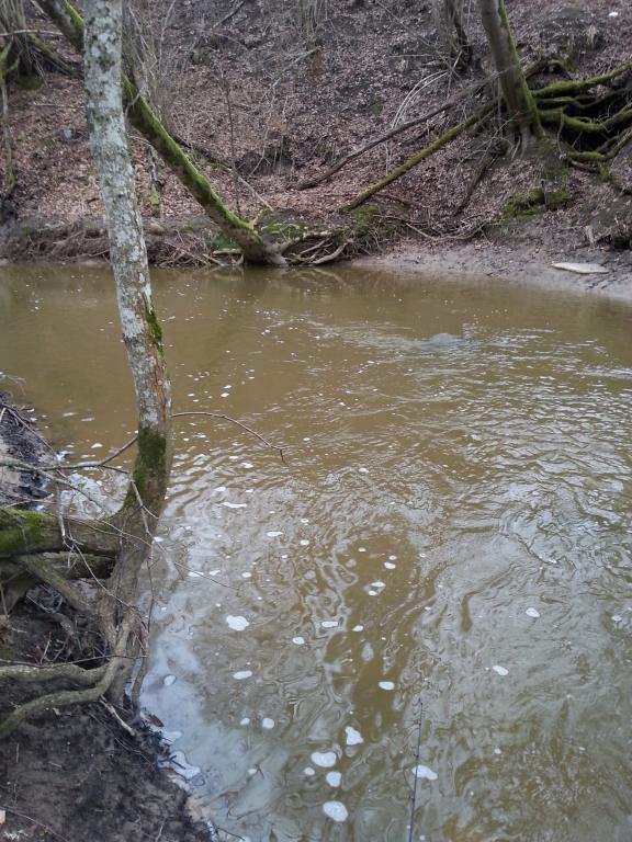 20140318_153731.jpg